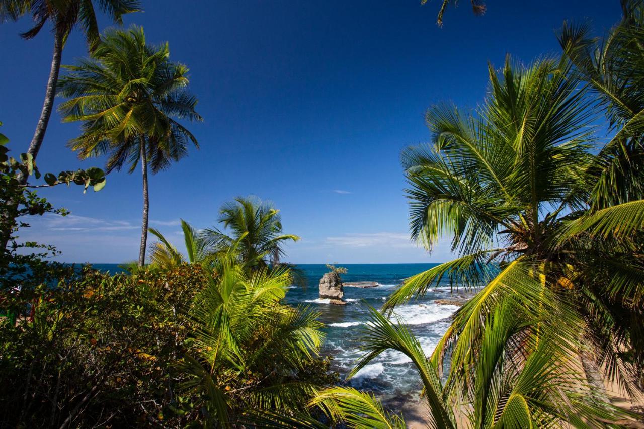 Manzanillo Caribbean Resort Puerto Viejo de Talamanca Kültér fotó