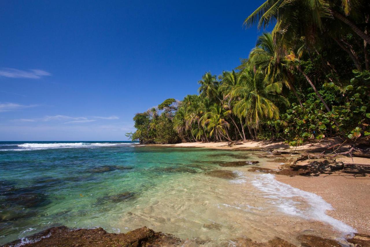 Manzanillo Caribbean Resort Puerto Viejo de Talamanca Kültér fotó