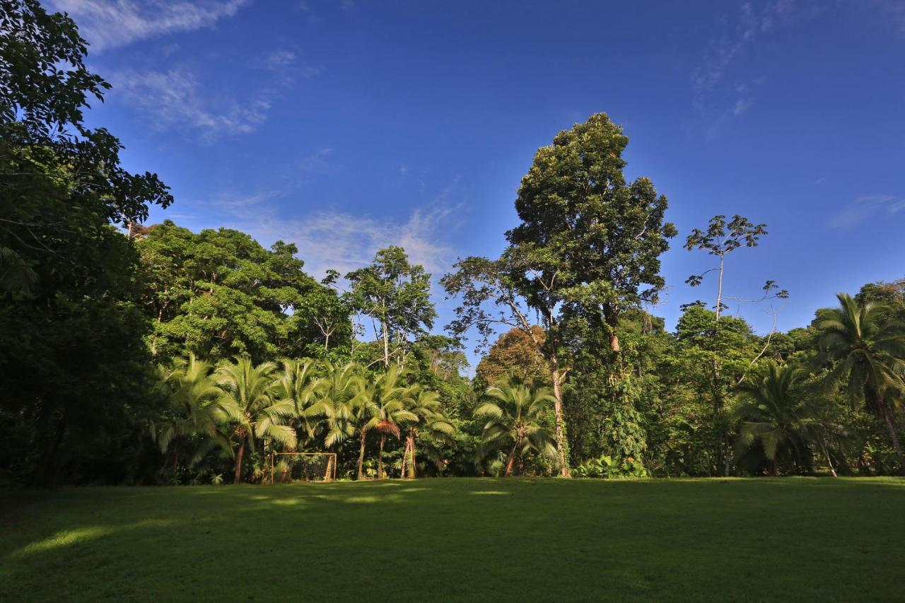 Manzanillo Caribbean Resort Puerto Viejo de Talamanca Kültér fotó
