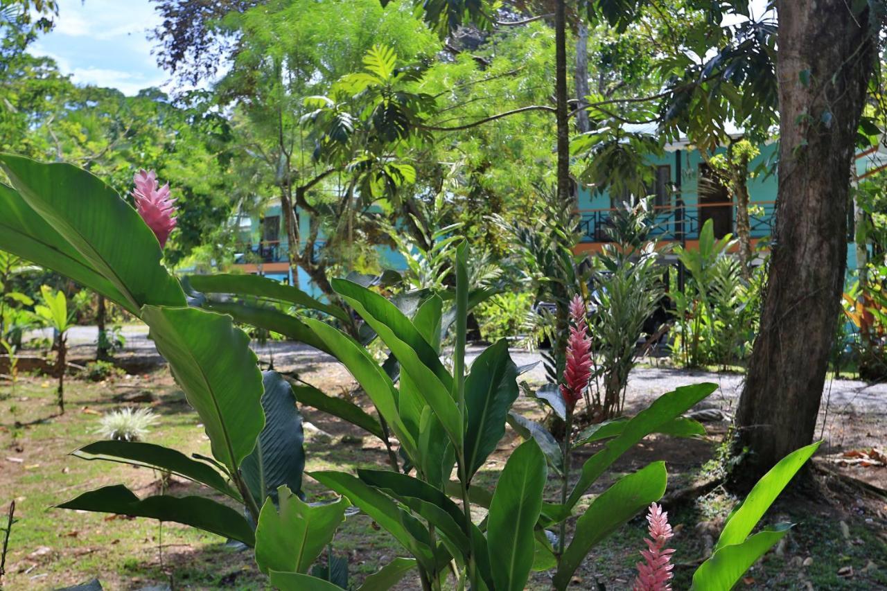 Manzanillo Caribbean Resort Puerto Viejo de Talamanca Kültér fotó